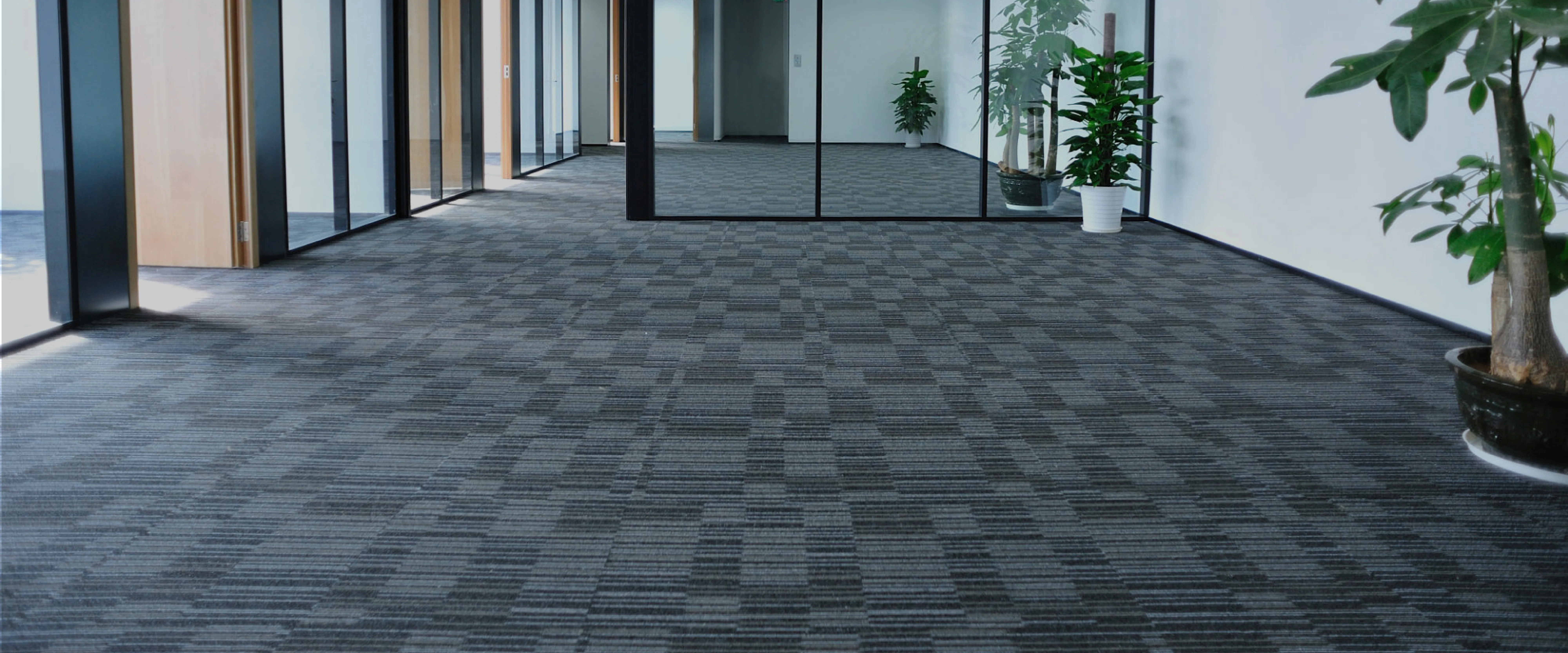 carpet cleaning in bronx, carpet cleaning bronx, carpet cleaners in bronx, carpet cleaners in bronx, commercial carpet cleaning, commercial carpet cleaning in bronx, bronx rug cleaners, rug cleaning services in bronx, same day carpet cleaning, same day rug cleaning in bronx