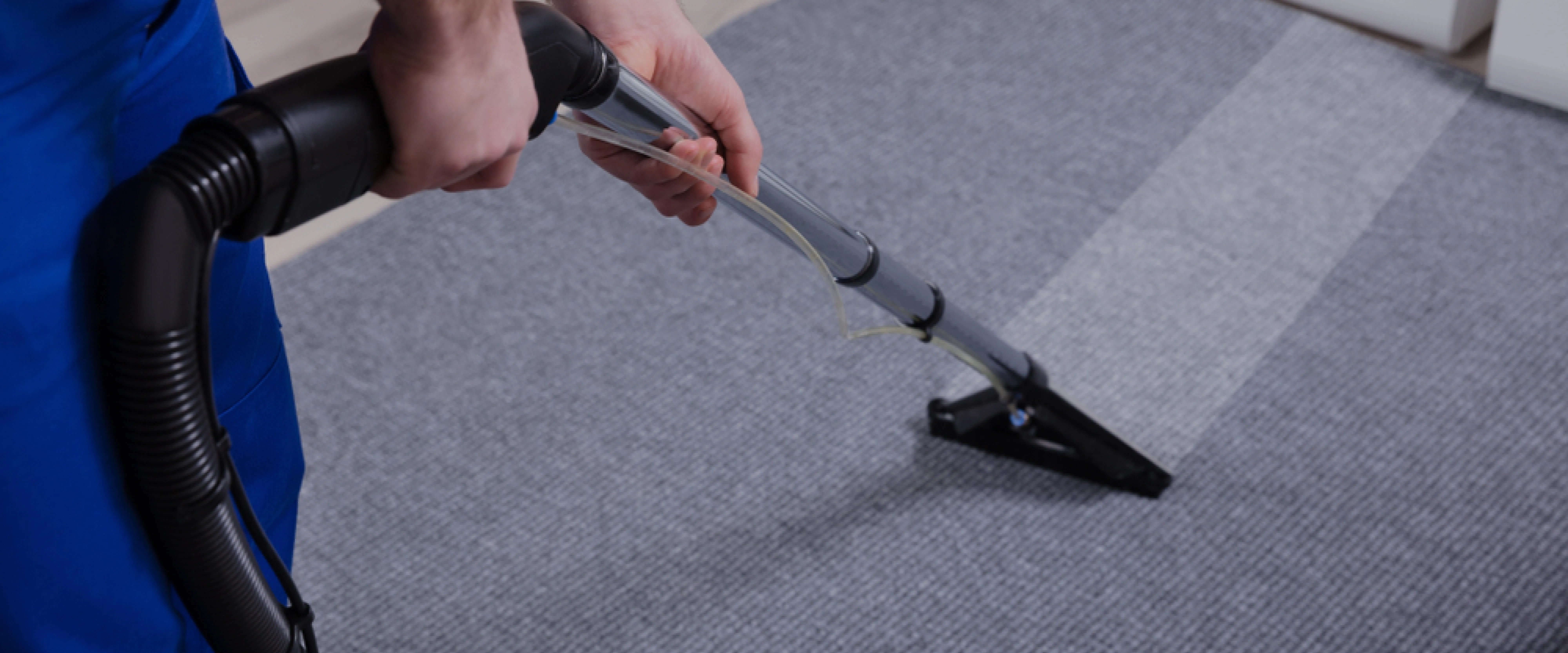 carpet cleaning in bronx, carpet cleaning bronx, carpet cleaners in bronx, carpet cleaners in bronx, commercial carpet cleaning, commercial carpet cleaning in bronx, bronx rug cleaners, rug cleaning services in bronx, same day carpet cleaning, same day rug cleaning in bronx